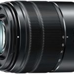 Panasonic LUMIX G VARIO 45-150mm F4.0-5.6 ASPH Mirrorless Camera Lens with Optical Stabilizer, Micro Four Thirds Mount, H-FS45150AK (USA Black)
