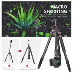 Neewer Carbon Fiber 66 inches/168 centimeters Camera Tripod Monopod with 360 Degree Ball Head,1/4 inch Quick Shoe Plate,Bag for DSLR Camera,Video Camcorder,Load up to 26.5 pounds/12 kilograms