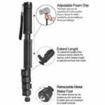 Acuvar 62′ Inch Monopod with Integrated Safety Strap and 4 Section Extending Pole for All Digital Cameras, DSLR, Mirrorless, Compact Cameras, Camcorders & Cell Phones