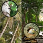 16×52 Monocular Dual Focus Optics Zoom Telescope for Birds Watching / Wildlife / Hunting / Camping / Hiking / Tourism / Armoring / Living Concert 66m/8000m