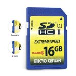16GB Class 10 SDHC Flash Memory Card 10 Pack Standard Full Size SD Card USH-I U1 Trail Camera Memory Card by Micro Center (10 Pack)