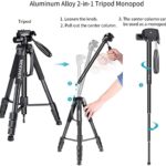 Neewer Portable Aluminum Alloy Camera 2-in-1 Tripod Monopod Max. 70″/177 cm with 3-Way Swivel Pan Head and Carrying Bag for DSLR,DV Video Camcorder