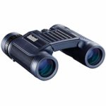 Bushnell 138005 H2O Waterproof/Fogproof Compact Roof Prism Binocular, 8 x 25-mm, Black