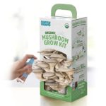 Back to the Roots Organic Mushroom Grow Kit – Oyster and Pink Mushroom 2-Pack Variety – Indoor Non-GMO Growing Kit – Produces 3-4 Servings and Grows in 10 Days