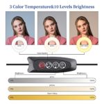 Video Conference Lighting Kit, Ring Light for Computer, Laptop Zoom Video Light for Remote Working, 3.5” Portable Size…