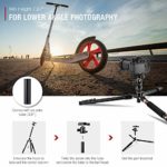 TYCKA 56” Camera Tripod, Lightweight Aluminum Travel Tripod Professional Compact Tripod Monopod for DSLR Camera With 360 Degree Ball Head, Quick Release Plate, Carry Bag