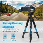 MACTREM 75 Inch Camera Tripod, Lightweight Travel Video Aluminum Tripod Stand with Cell Phone Mount for DSLR/SLR/DV with Bag (Weight 2.8Lbs/Load 11Lbs) (Blue)