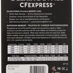 Delkin Devices 512GB Power CFexpress Type B Memory Card (DCFX1-512)