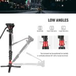 NEEWER Professional Camera Monopod with Feet, 70.5″/179cm Telescopic Portable Aluminum Travel Monopod with Pan Tilt Fluid Head and Removable Tripod Base for DSLR Camera Camcorder, Max Load 13.2lb/6Kg