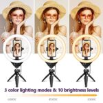 Eicaus Desktop 10″ Selfie Ring Light with Tripod Stand and Cell Phone Holder, Dimmable LED Circle Light for Computer/Zoom Call/Live Streaming/Makeup/YouTube/TIK Tok, Compatible with Most Phones