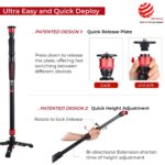 IFOOTAGE Monopod Cobra 2 Strike A150S, 59″ Telescopic Camera Monopod with Dual Direction Quick Adjustable, Compatible with DSLR Cameras and Camcorders