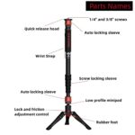 IFOOTAGE Cobra 3 A180T, 3-in-1 Camera Monopod, Telescopic Video Monopod, Professional Photography Tripod Monopod, Suitable for SLR Cameras and Camcorders, Aluminum (71″)