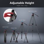 NEEWER 79”/200cm Video Tripod, Heavy Duty Aluminum Alloy Camera Tripod Stand with 360°Fluid Drag Head, QR Plate Compatible with Canon Nikon Sony and Other DSLR Camera Camcorder, Load Up to 17.6lb/8kg