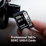 Lexar Professional 1667x 256GB (2-Pack) Memory SDXC UHS-II Cards, C10, U3, V60, Full-HD & 4K Video, Up To 250MB/s Read, for Professional Photographer, Videographer, Enthusiast (LSD1667256G-B2NNU)