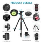 NEEWER 77 inch Camera Tripod Monopod for DSLR with 360° Panoramic Ball Head, 2 Axis Center Column, Arca Type QR Plate, Compact Aluminum Lightweight 18lb Max Load, Carry Bag Included