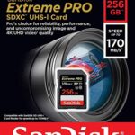 SanDisk Extreme Pro 256GB SD Card for Nikon Camera Works with Nikon Z50, Z5 Mirroless, D780 Digital DSLR (SDSDXXY-256G-GN4IN) Bundle with (1) Everything But Stromboli Micro & SDXC Memory Card Reader