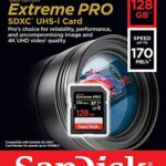 SanDisk 128GB SDXC Extreme Pro Memory Card Works with Sony Alpha a7 III, a7 II, a7, a7s, a7s II Mirrorless Camera (SDSDXXY-128G-GN4IN) Bundle with 1 Everything But Stromboli 3.0 SD/Micro Card Reader