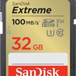 SanDisk 32GB SDHC SD Extreme Memory Card Bundle (SDSDXVE-032G-GNCIN) Works with Canon PowerShot G7 X Mark III, G5 X Mark II Digital DSLR Camera Plus (1) Everything But Stromboli (TM) Card Reader