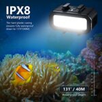 Neewer WP11 Waterproof LED Light, IPX8 131ft/40m Underwater Video Fill Night Light Dimmable 6800K CRI98 1000lm with 4 Color Filters/Built-in Battery Compatible with DSLR Camera & GoPro Action Camera