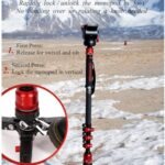 IFOOTAGE Cobra 3 Monopod C180F-P with K5S Fluid Head, Professional Portable Travel Monopod Kit for Canon Nikon Sony Olympus Panasonic DSLR Camera