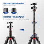 NEEWER Upgraded 80.7″ Carbon Fiber Camera Tripod Monopod with Telescopic 2 Section Center Axes, 360° Panorama Ballhead, 1/4″ Arca Type QR Plate, Travel Tripod with ø28mm Column, Max Load 26.5lb, N55CR