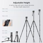 SmallRig CT210 Video Tripod, 75″ Video Camera Tripod Monopod with +/-15° Leveling Base Fluid Head, Professional Camera Tripod Compatible with Video Camera, DSLR, Camcorder-4475