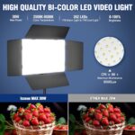 2 Pack LED Video Light Kit with Barn Door, Icceue Photography Light Panel with Stand, 3000Lux 2500K-8500K Dimmable Studio Lights for Video Recording/Filming/Photoshoot Shooting/Live Streaming/YouTube